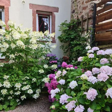 Les Du 74 R Le Classique Senones (Vosges)
