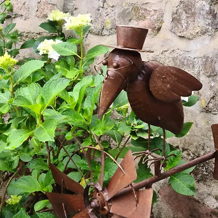 Les Du 74 R Le Classique * Senones (Vosges)