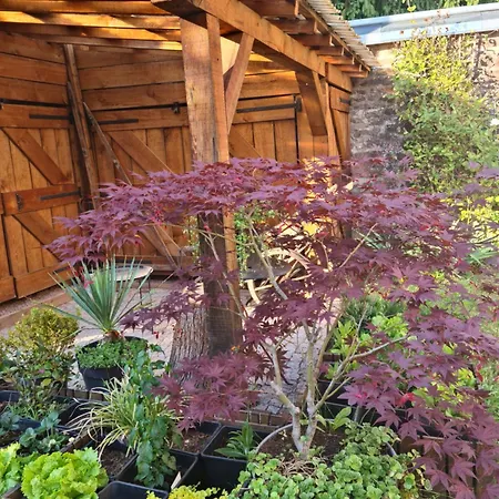 Les Du 74 R Le Classique Senones (Vosges)