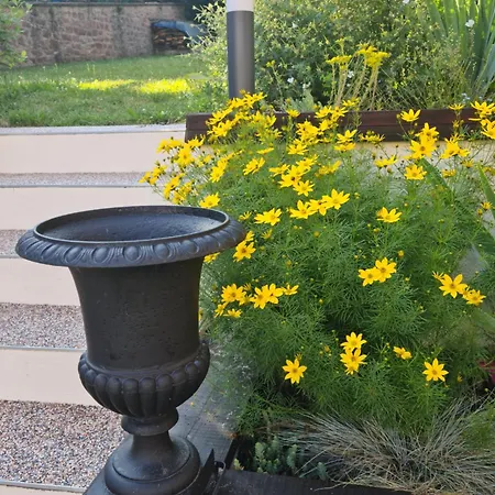 Les Du 74 R Le Classique