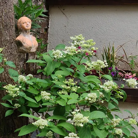 Les Du 74 R Le Classique شقة Senones (Vosges)