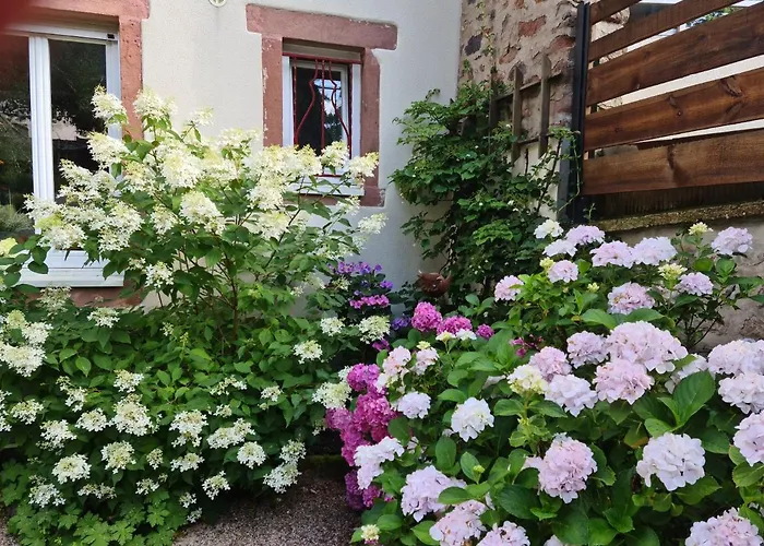 Les Du 74 R Le Classique Senones (Vosges)