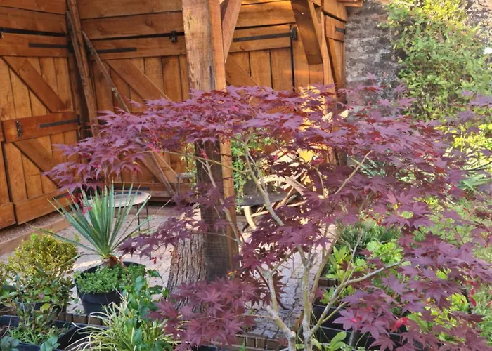 Les Du 74 R Le Classique Senones (Vosges)