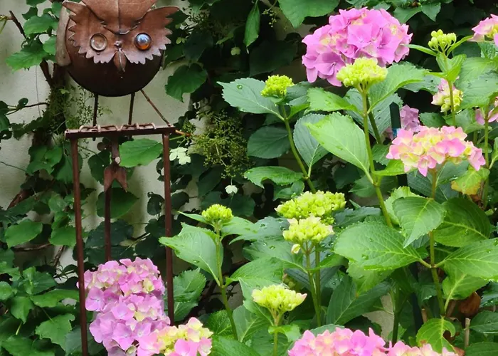 Appartement Les Du 74 R Le Classique *