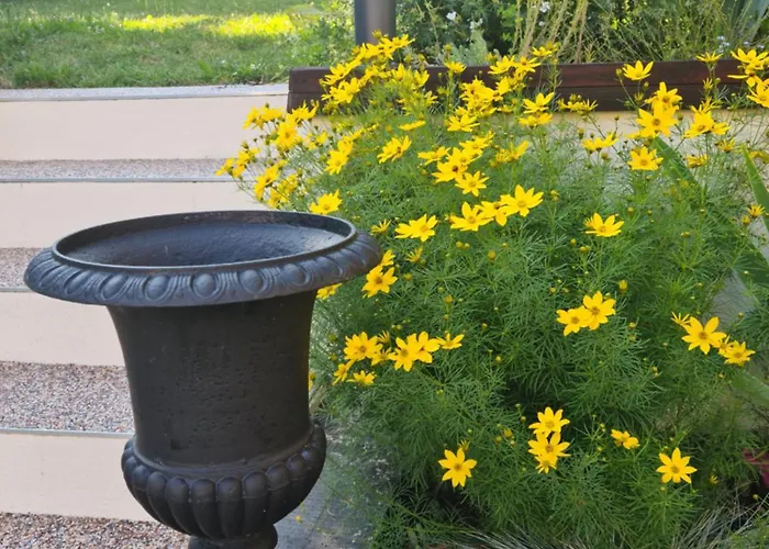 Les Du 74 R Le Classique