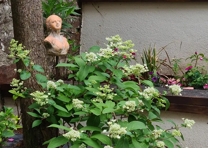 Les Du 74 R Le Classique Appartement Senones (Vosges)