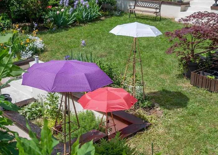 Les Du 74 R Le Classique